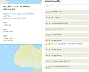 genetic dna north africa berbers